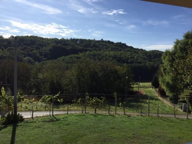 Kuca Za Odmor "Nedeljko"/ Holliday Hause "Nedeljko" Vila Sveti Martin Na Muri Exterior foto