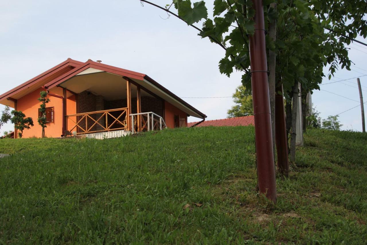 Kuca Za Odmor "Nedeljko"/ Holliday Hause "Nedeljko" Vila Sveti Martin Na Muri Exterior foto